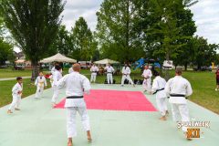 DSC02887