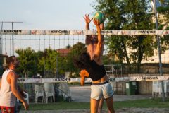 DSC02946